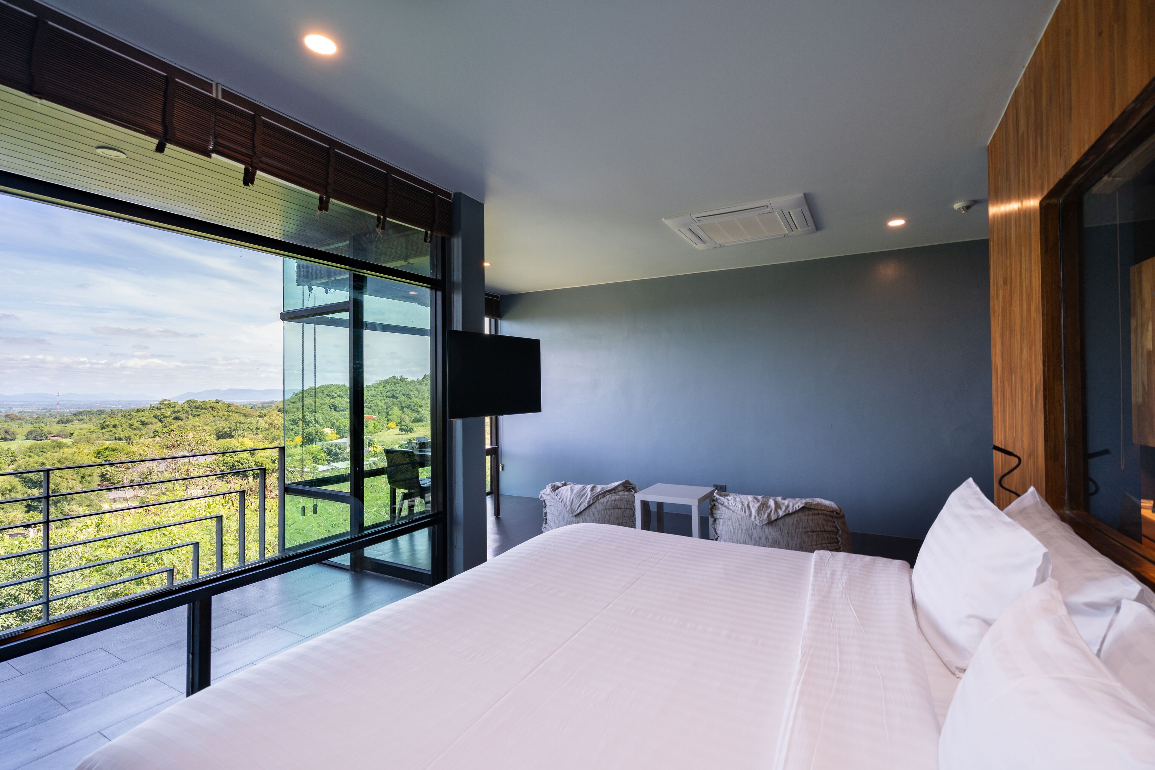 spacious deluxe | view from room