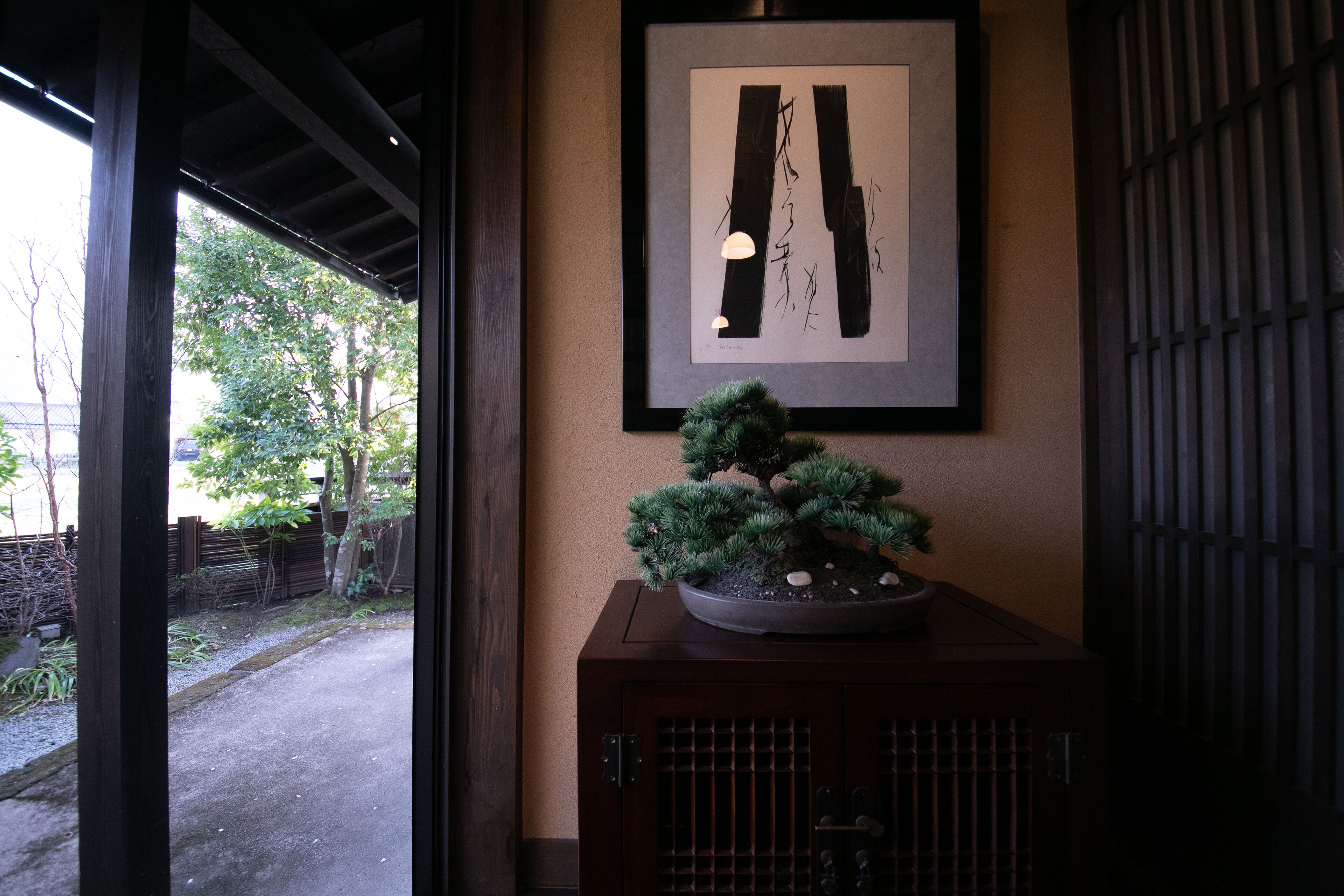 A framed abstract artwork, a bonsai tree, and a dark wooden cabinet.