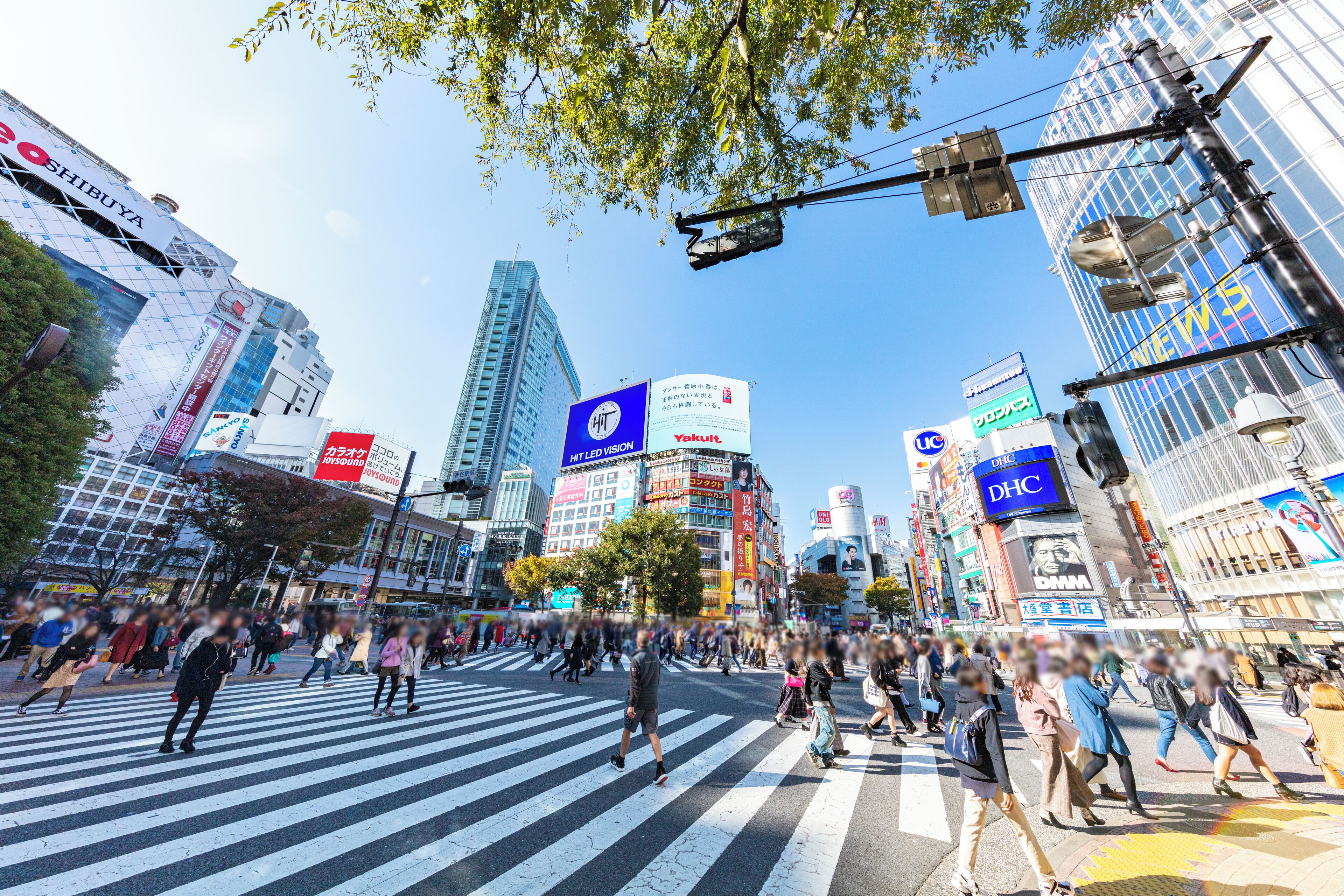 Foto - Hotel Allamanda Aoyama Tokyo