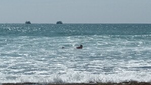 Una playa con olas y dos barcos a lo lejos.