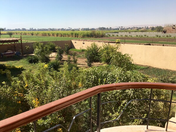 Vue depuis un balcon doté d’une balustrade, donnant sur un jardin aménagé avec différentes plantes et offrant une vue lointaine sur le paysage urbain.
