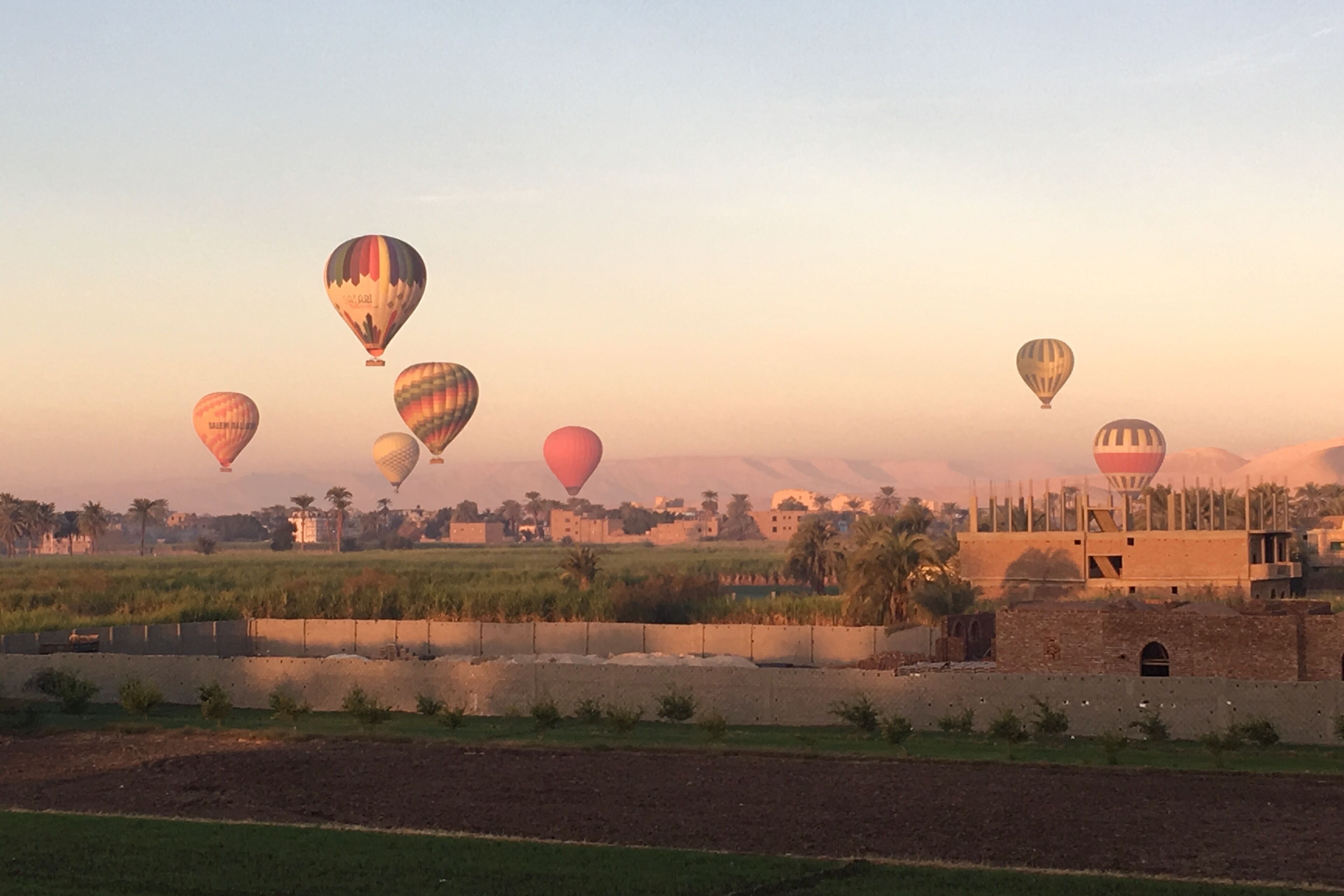 Photo - New Memnon Hotel