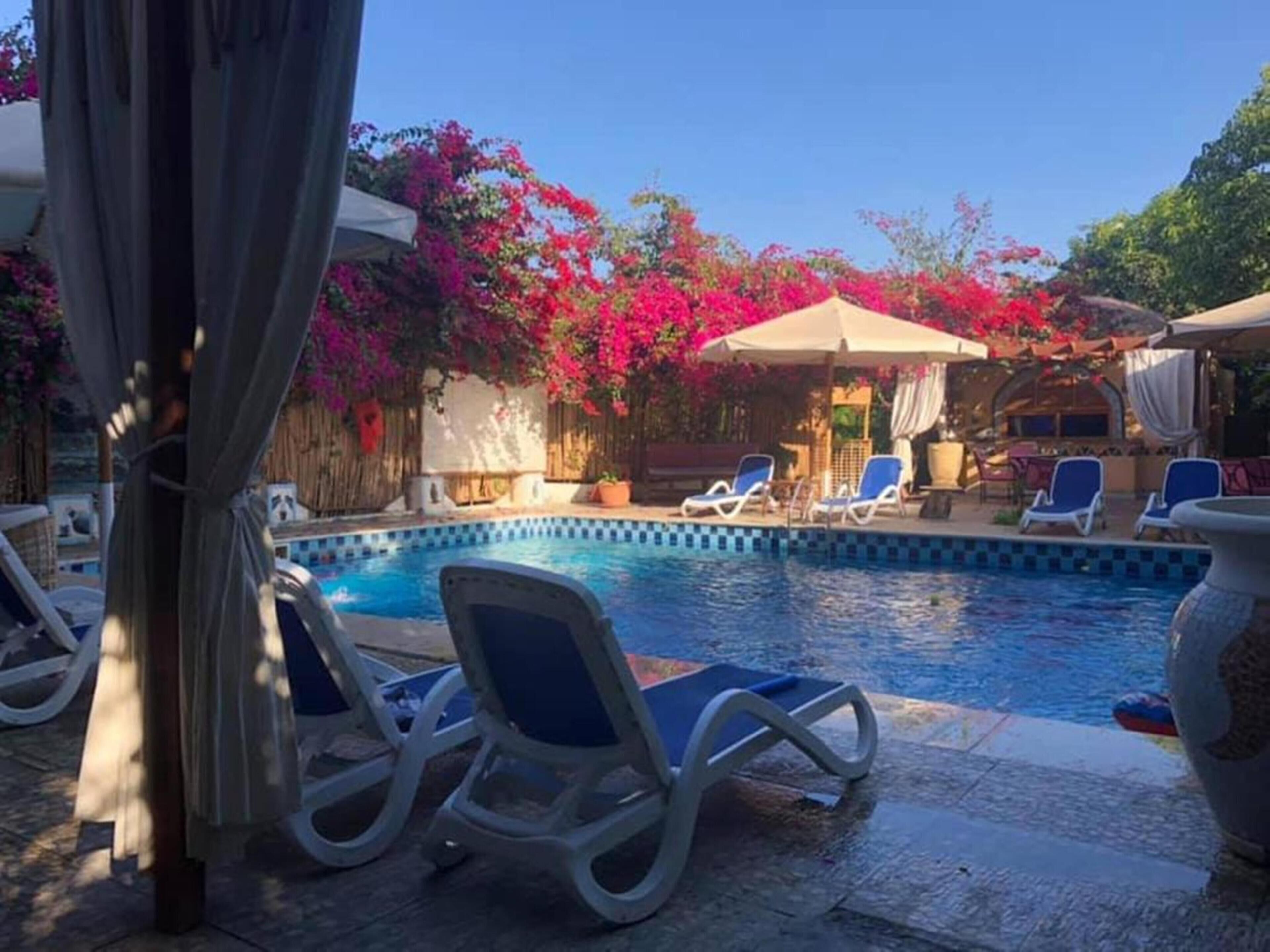A swimming pool with lounge chairs and umbrellas, surrounded by vibrant pink flowers.