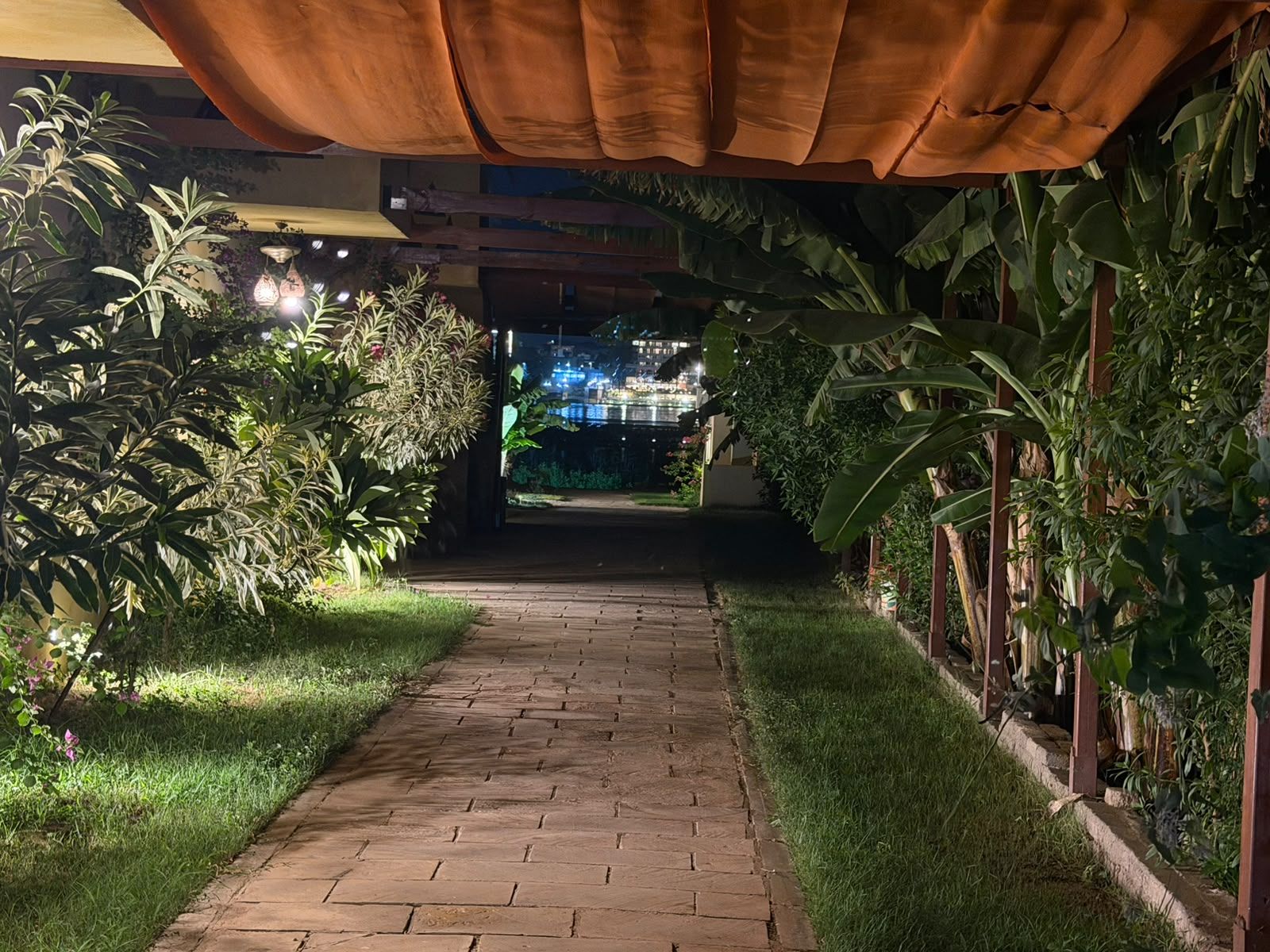 Un chemin menant à un bâtiment doté d’une entrée abritée, entouré d’une végétation luxuriante et de plantes.