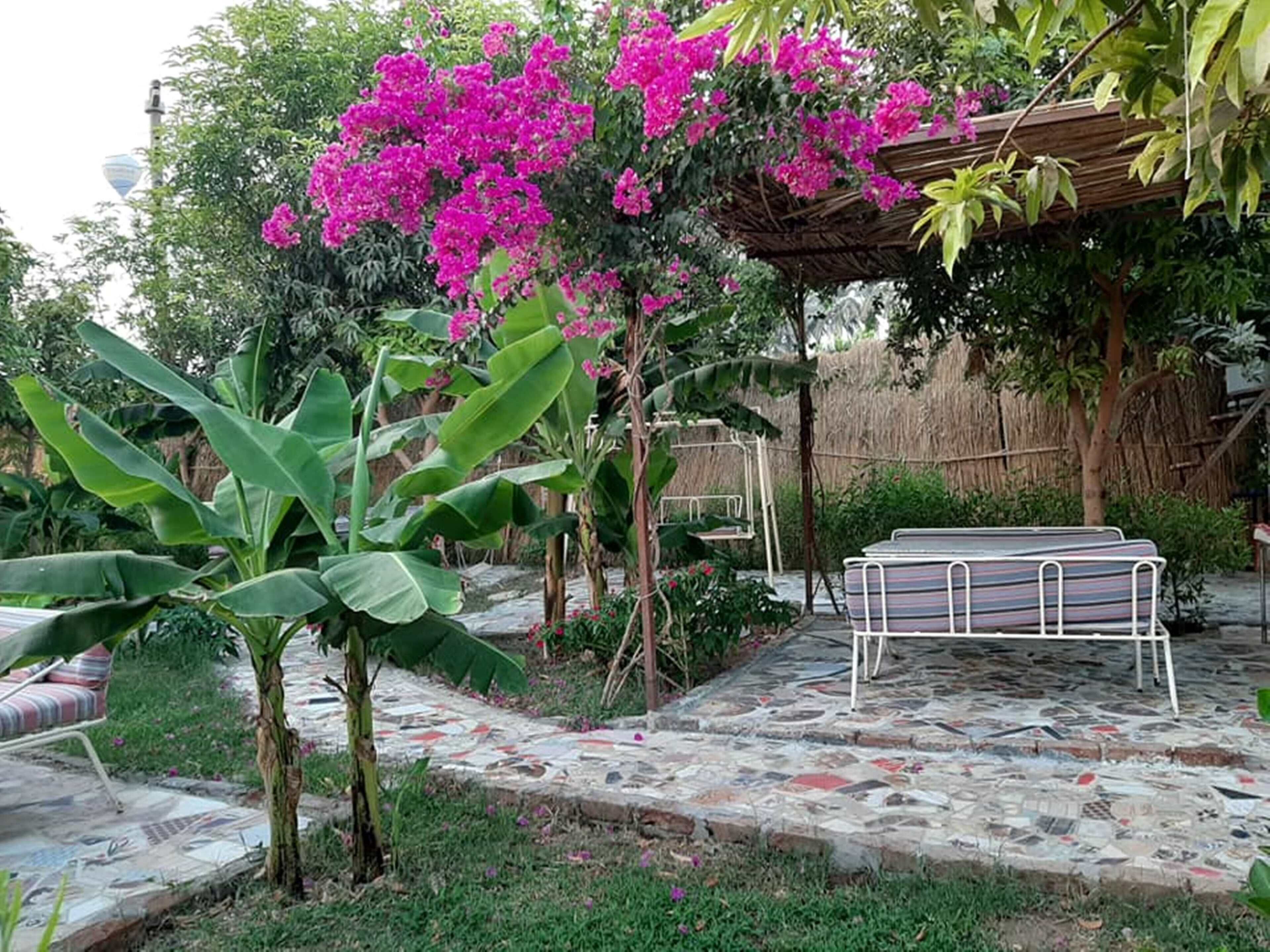 花園