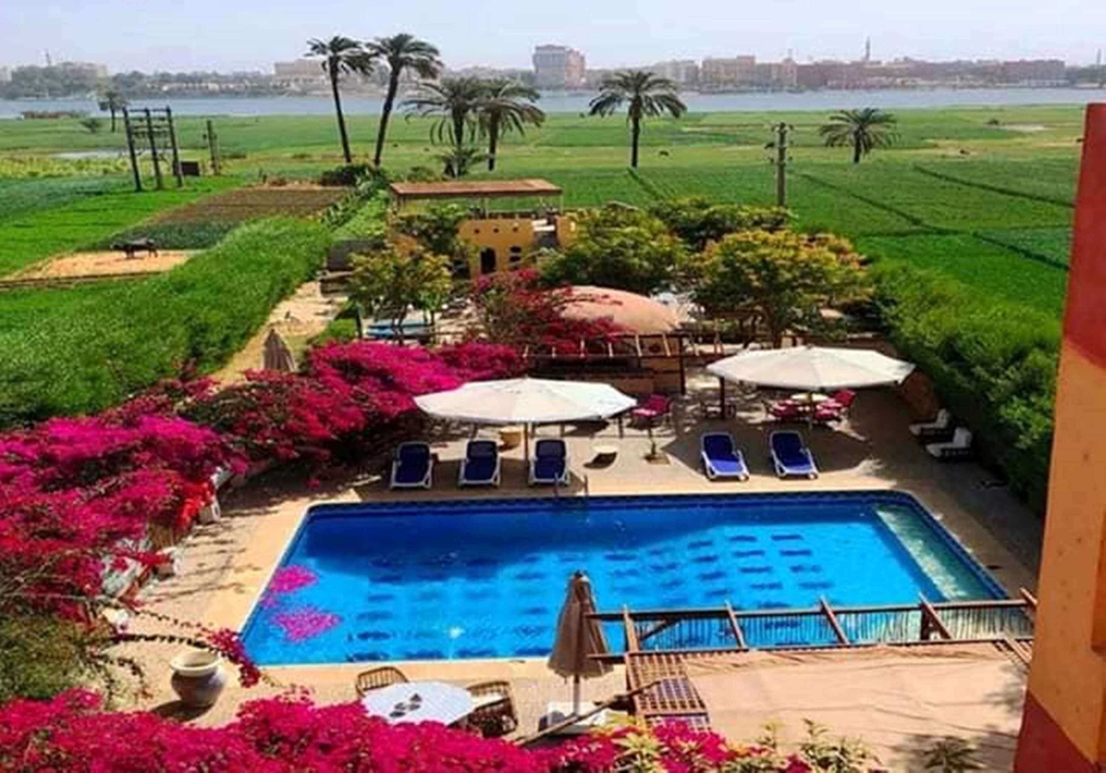 Une piscine dotée de chaises longues et de parasols, entourée de verdure et offrant une vue sur le paysage urbain.