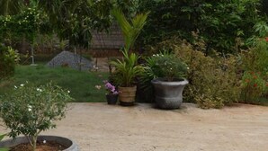 A garden with various potted plants and a small tree.