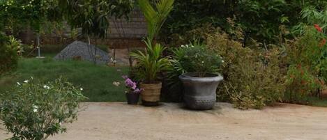 Jardin