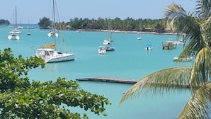 Una marina con varias embarcaciones amarradas y una vista despejada del paisaje tropical circundante.