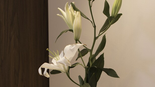 Un vase avec des fleurs blanches et une statue de Bouddha sur une table en bois.
