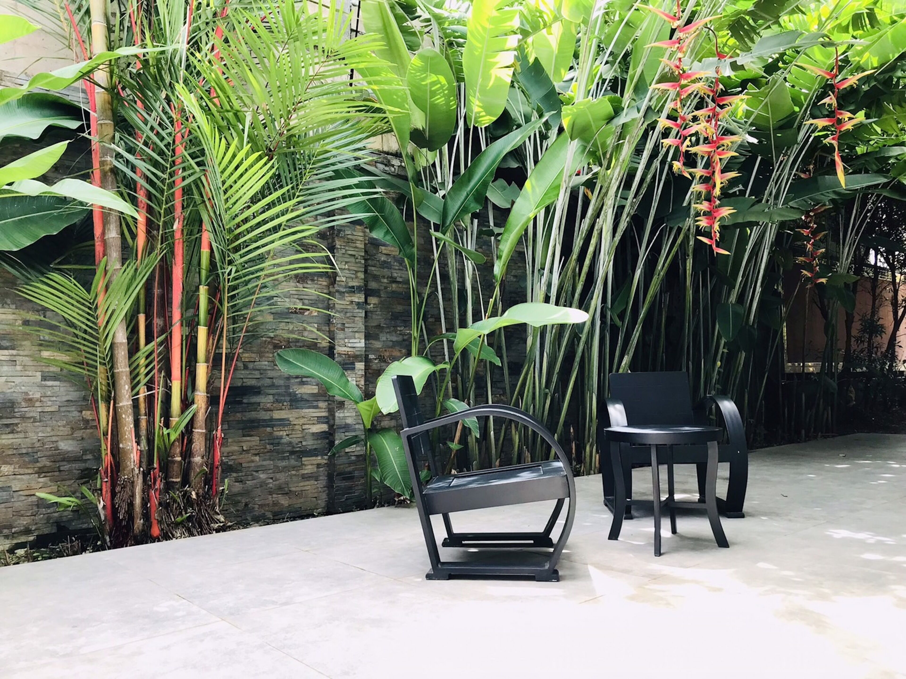 A patio area with a black exercise bike, two black chairs, and lush tropical plants.