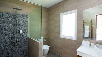 A modern bathroom with a glass shower enclosure, a toilet, and a sink with a mirror.