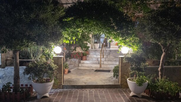A nighttime entrance with a stone pathway leading to a set of stairs, surrounded by potted plants and illuminated by two spherical lights.