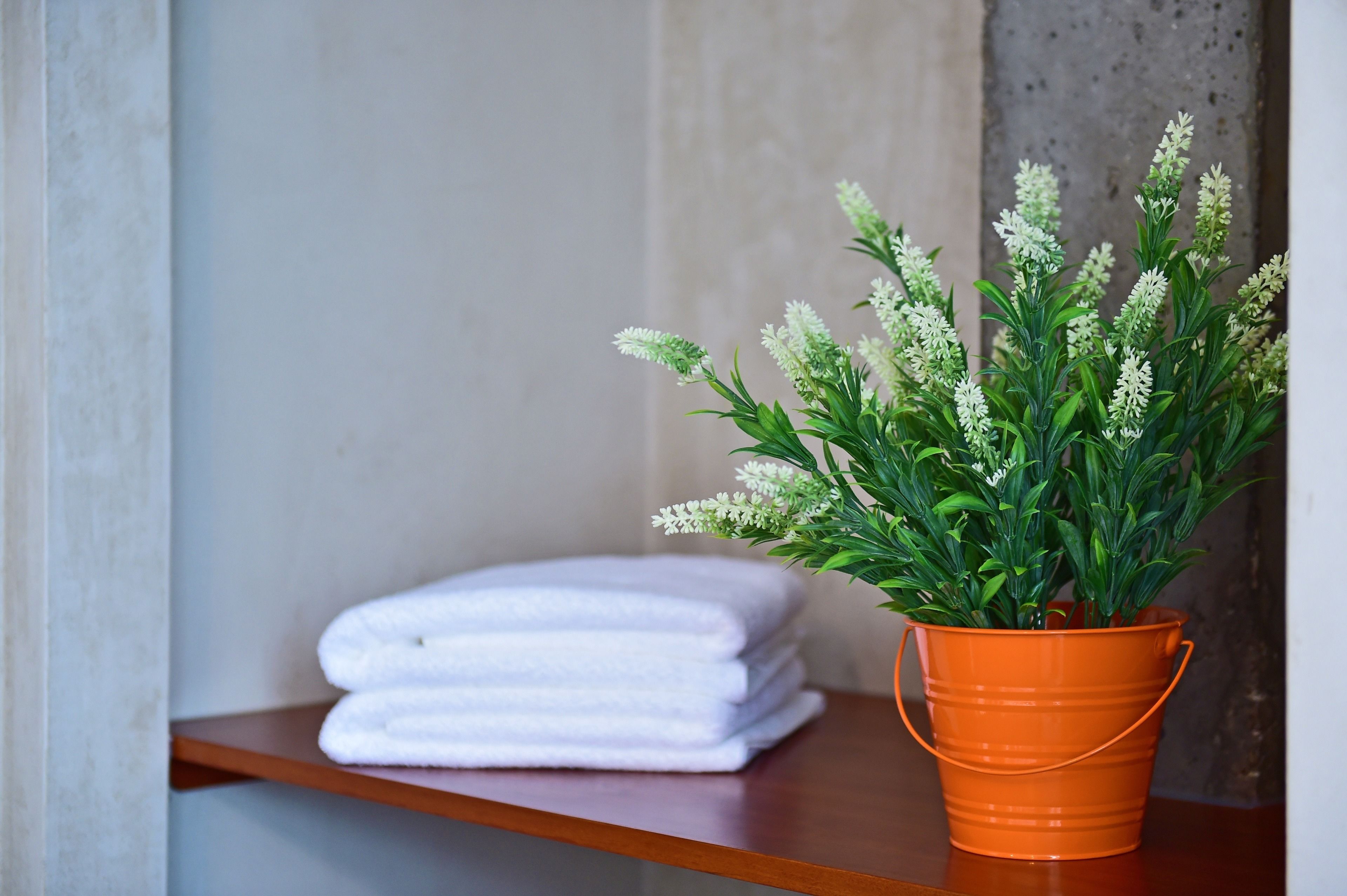 Photo - Mercearia D'Alegria Boutique B&B