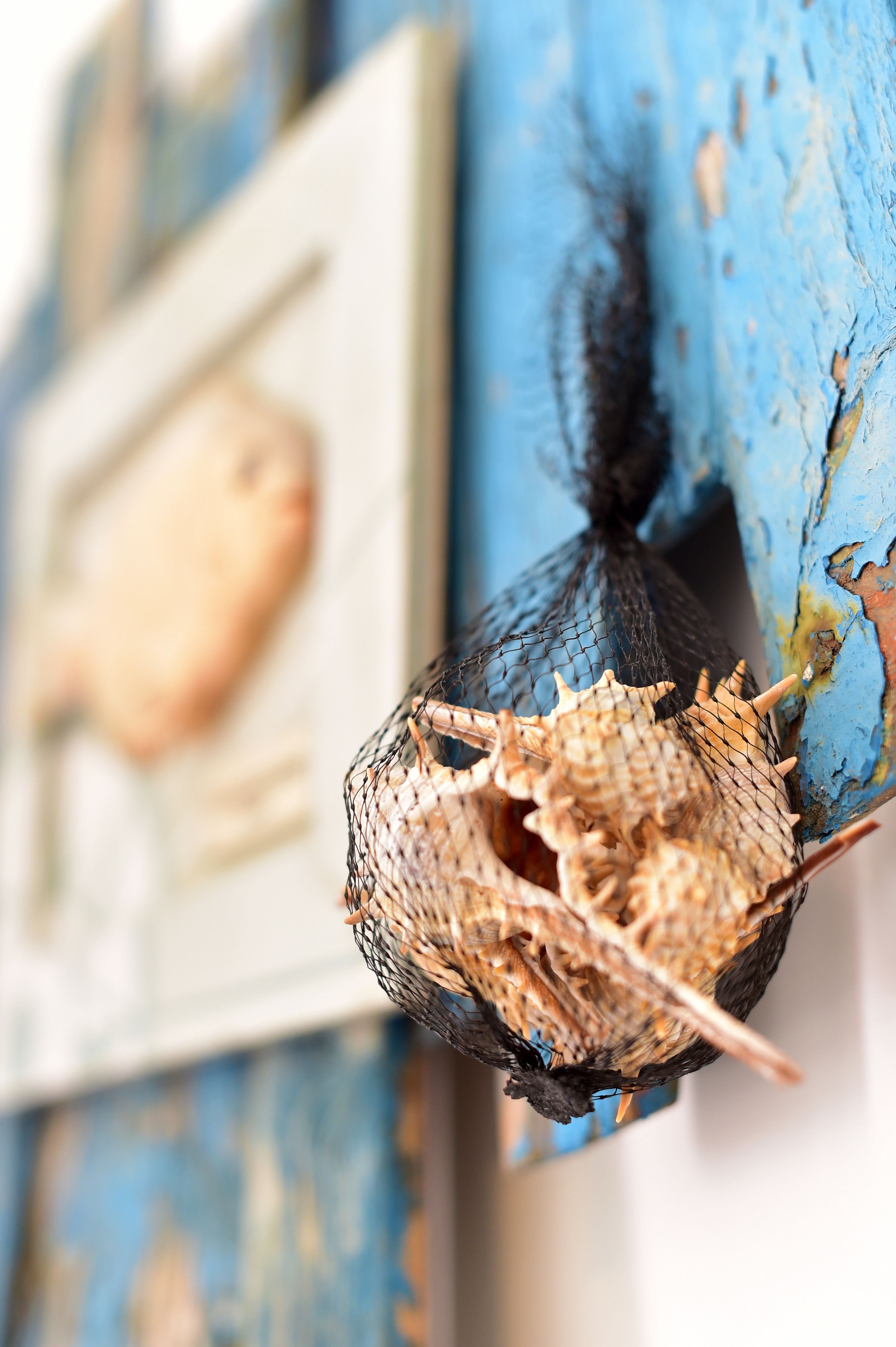 Foto - Mercearia D'Alegria Boutique B&B