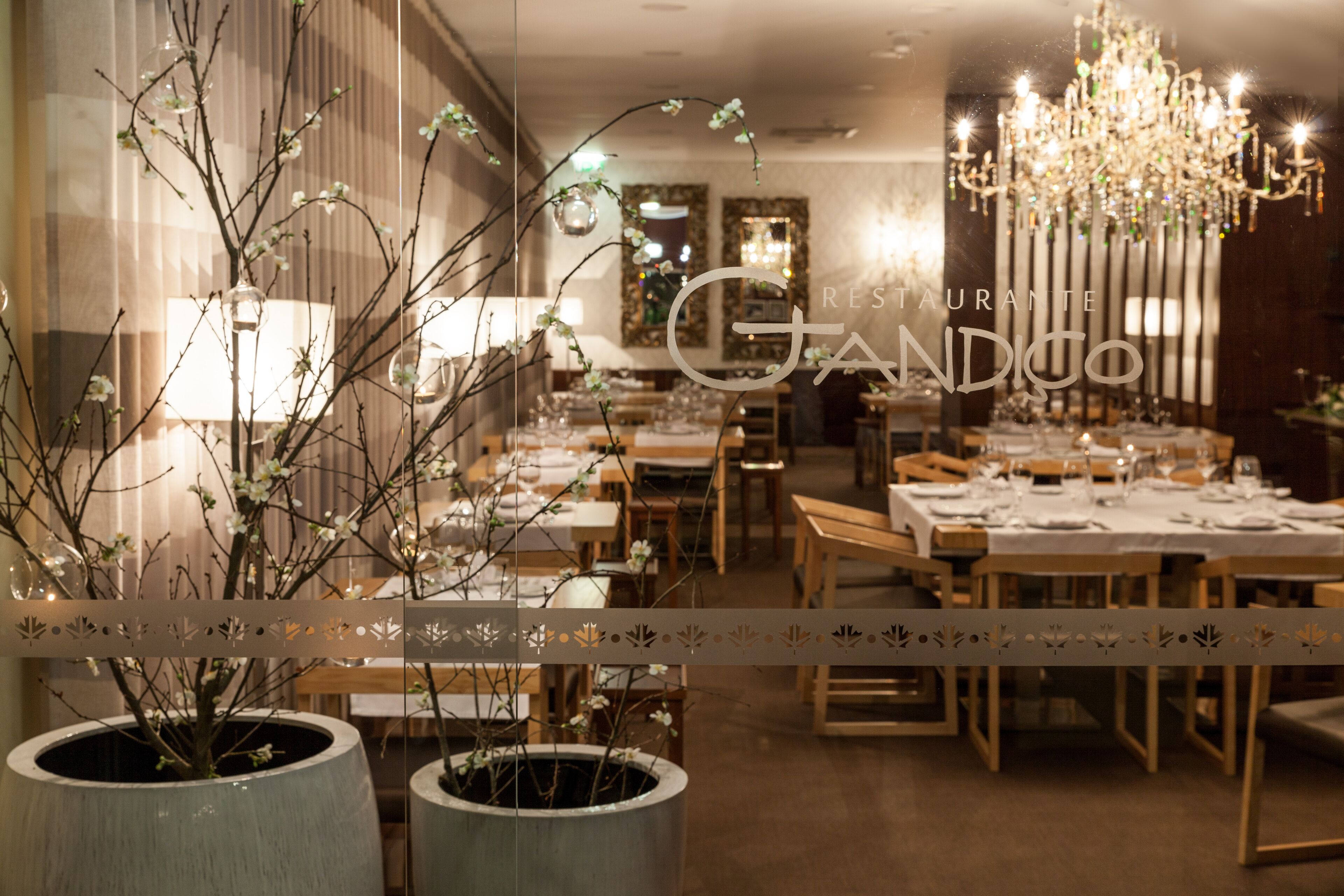 breakfast, lunch, dinner served; portuguese cuisine