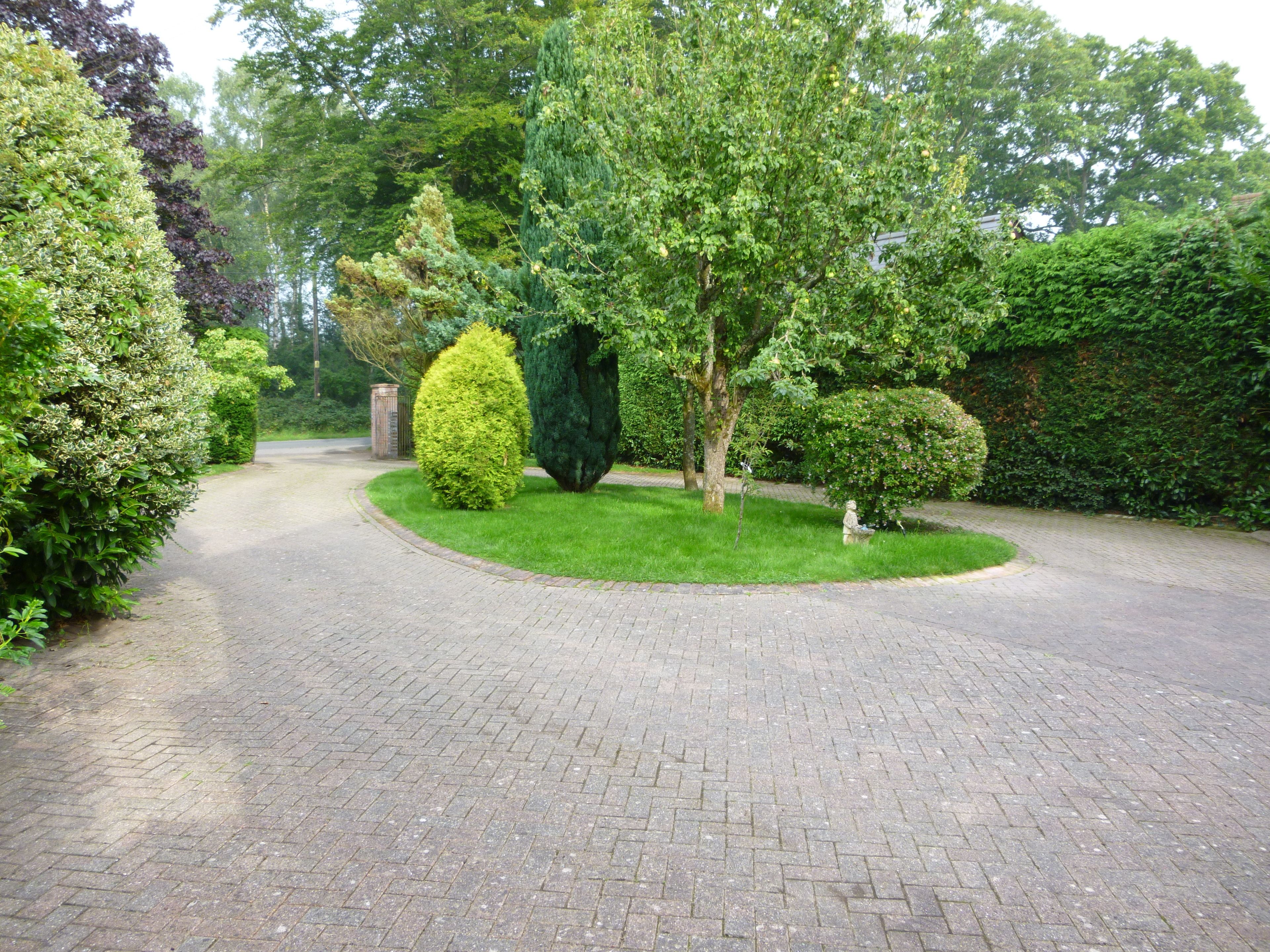Family Suite | Garden view
