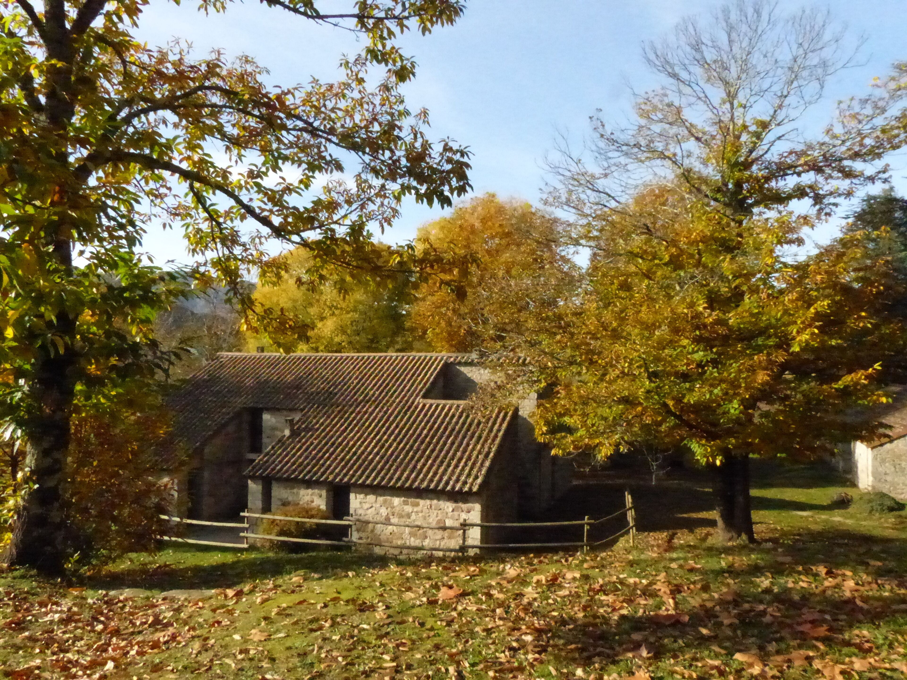 A stone building with a tiled roof, surrounded by trees and grass.