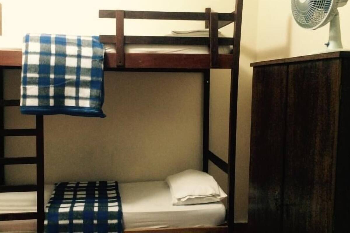 A bunk bed room with a wooden ladder, a small bedside table, and a fan on the wall.