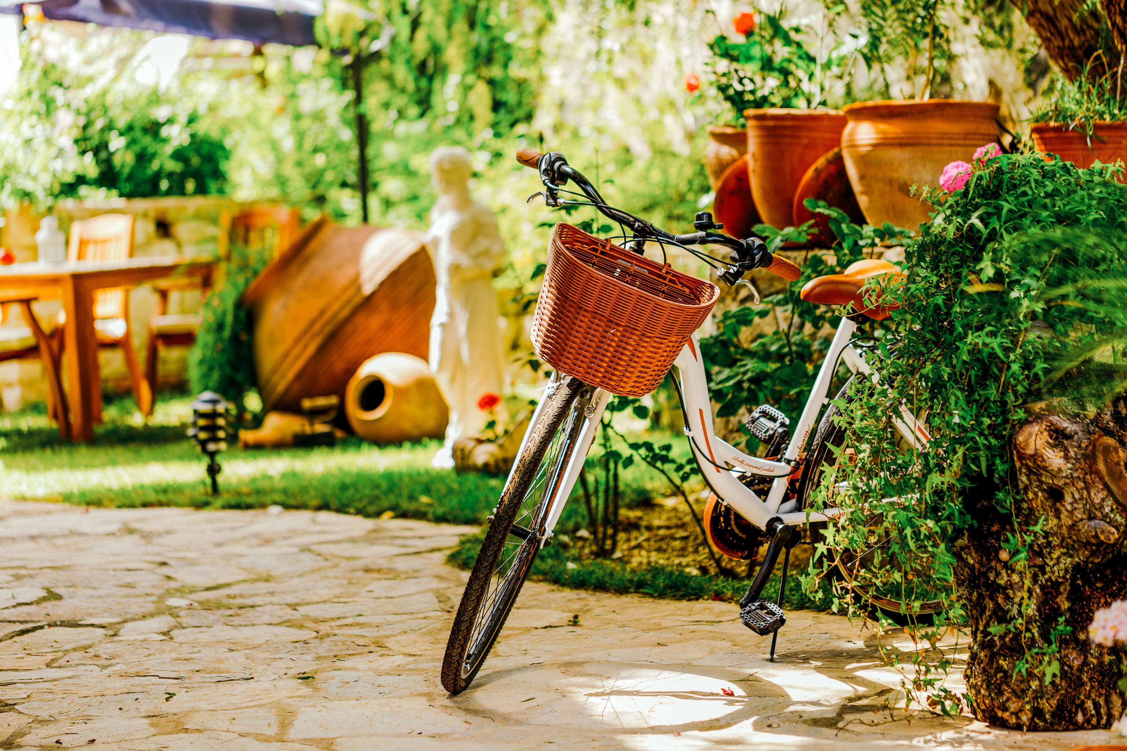 A bicycle with a basket parked on a cobblestone path in a garden setting.