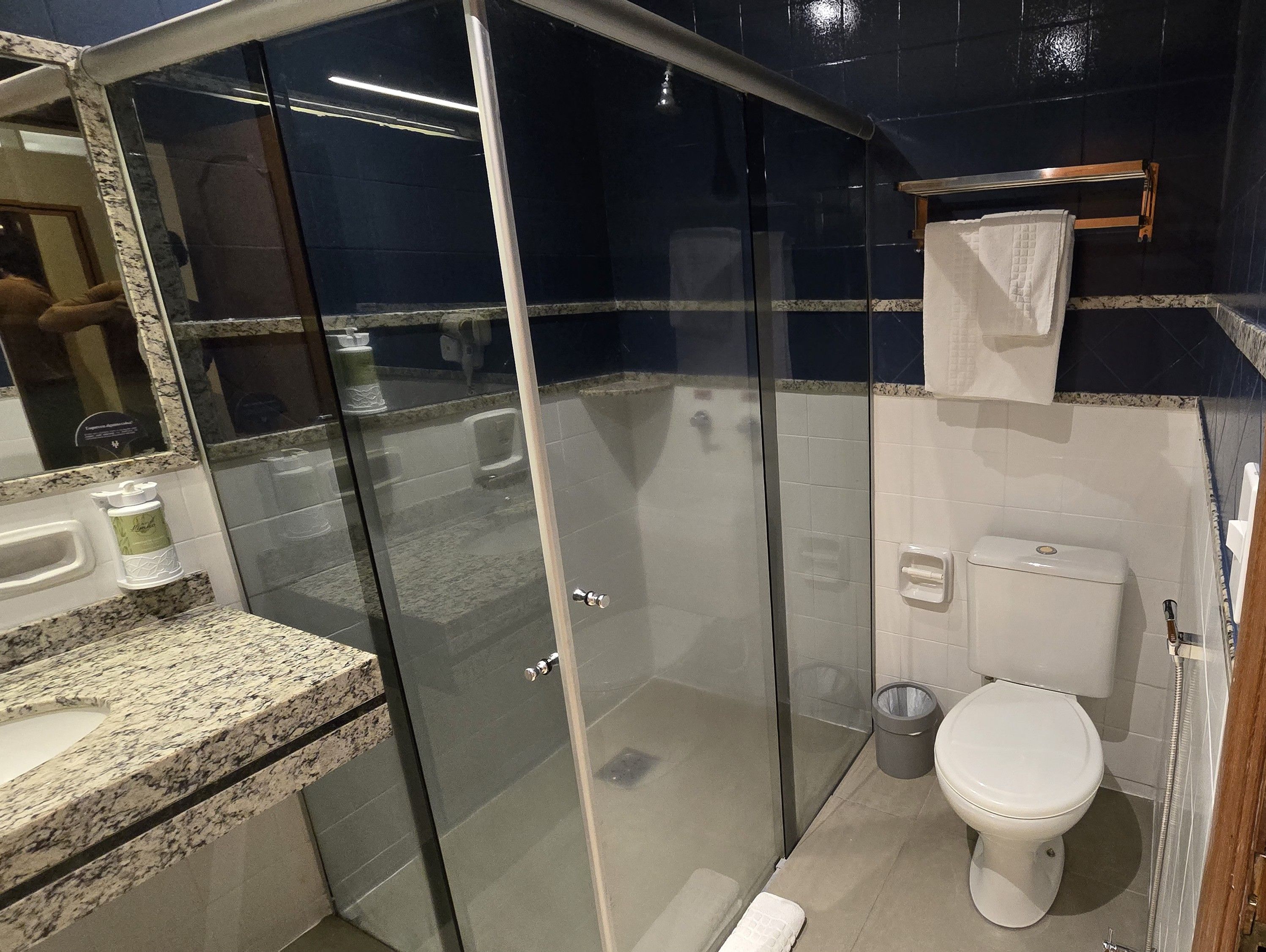 A bathroom with a glass-enclosed shower, a white toilet, and a granite countertop with toiletries.