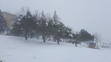 Paisaje nevado con árboles y una pequeña construcción.