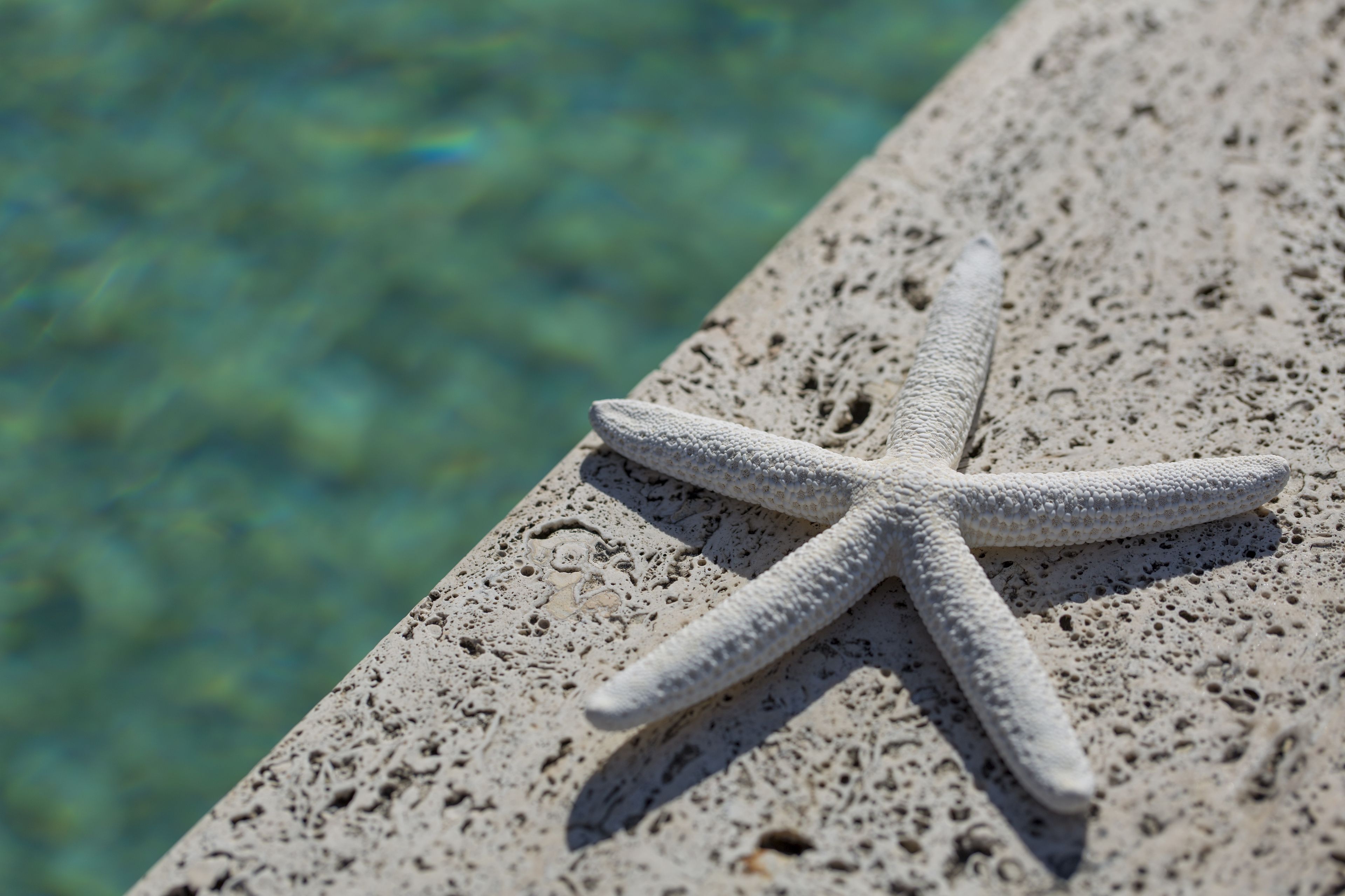 Foto - Nero D'Avorio Aparthotel & SPA