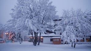 Un espacio al aire libre cubierto de nieve, con árboles y un edificio.