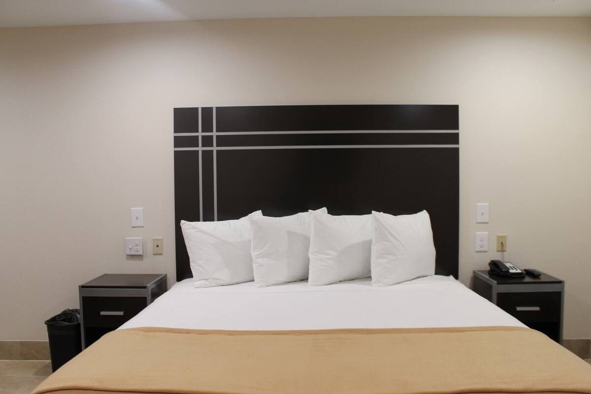 A hotel room with a large bed, a headboard with a geometric design, two bedside tables with a phone and a lamp, and a trash bin.