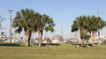 A marina with boats, palm trees, and benches.