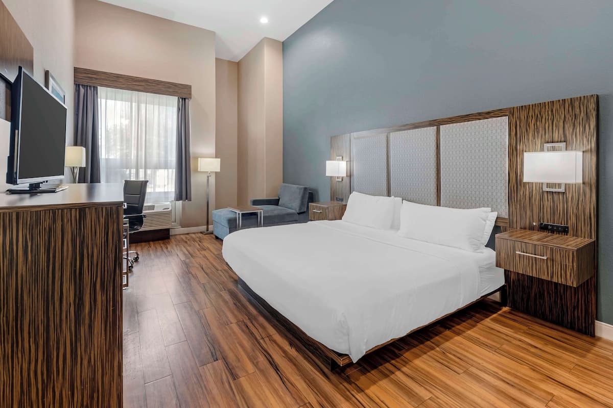 Camera Standard, 1 letto king, accessibile ai disabili, non fumatori (Walk-in Shower;Pet Friendly) | Materassi a doppio strato, una scrivania, postazione laptop