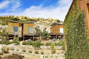 ファミリー コテージ キングベッド 1 台ソファーベッド付き 冷蔵庫 & 電子レンジ ヴィンヤードビュー | 部屋からの景観