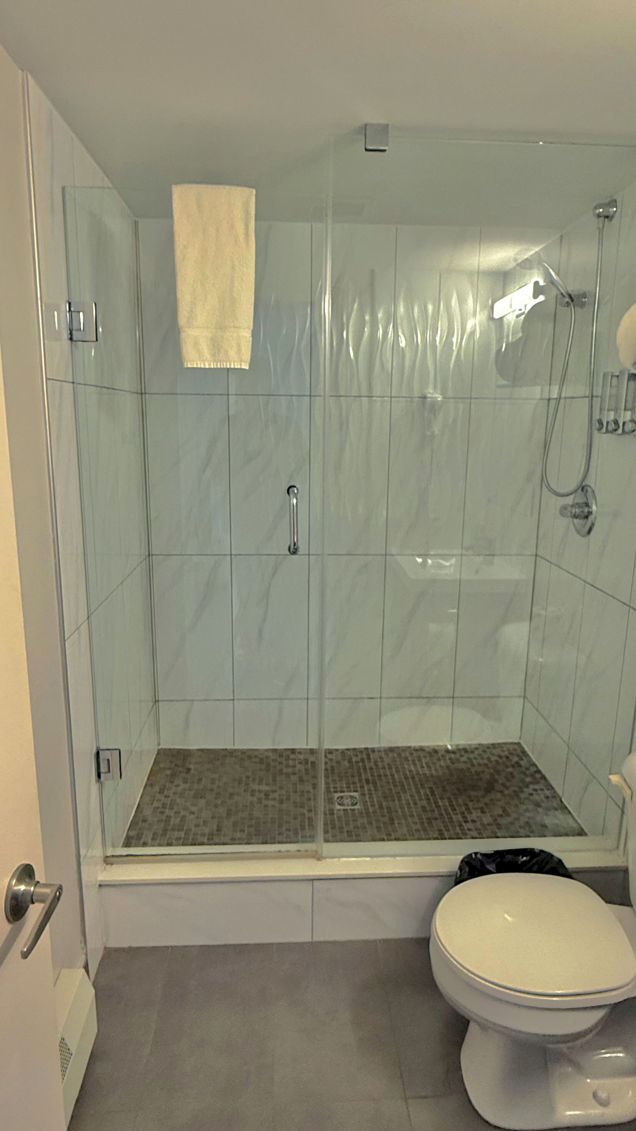 A bathroom with a glass-enclosed shower, a toilet, and a sink.