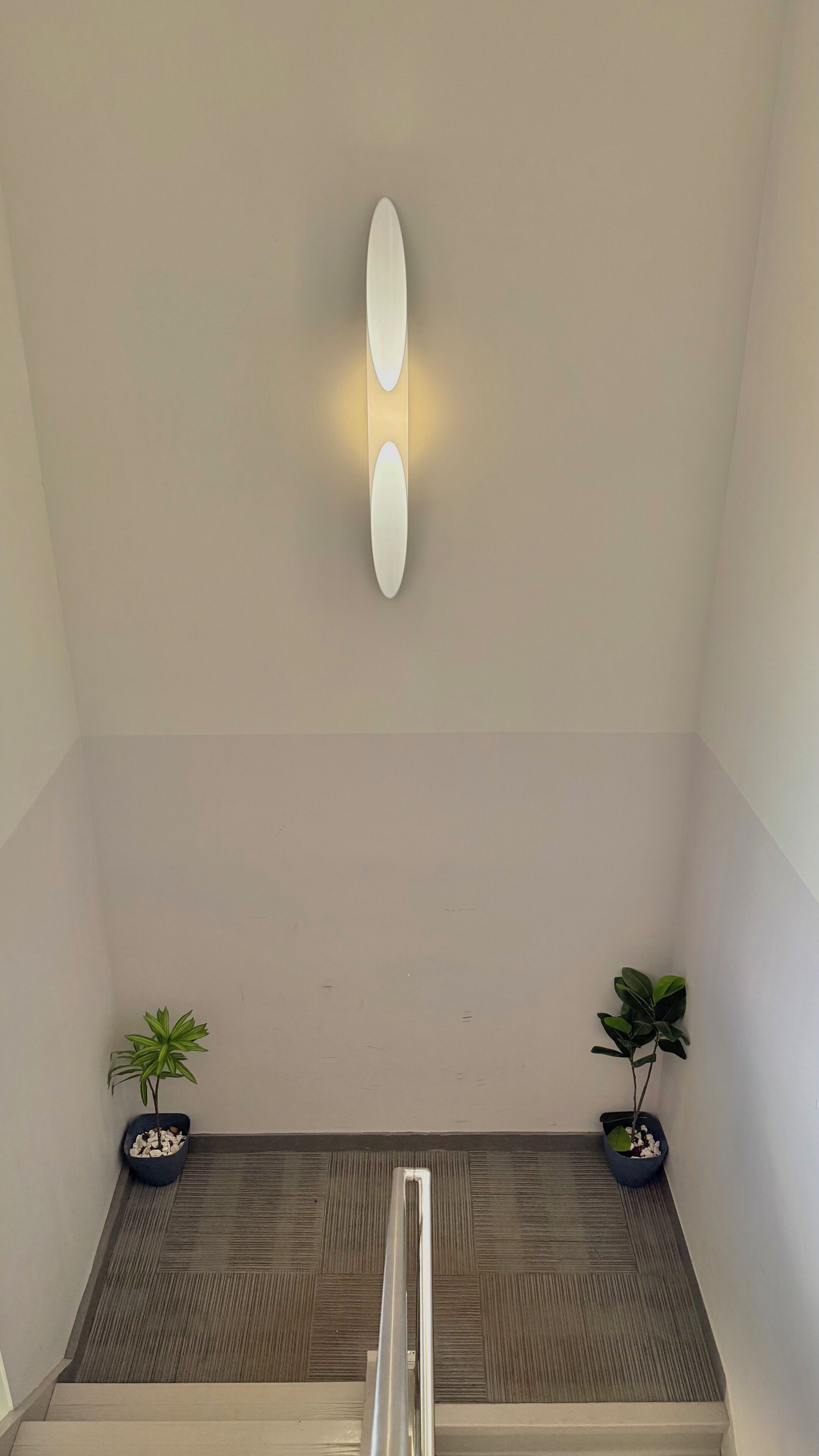 A staircase with a textured floor, a wall-mounted light fixture, and two potted plants.