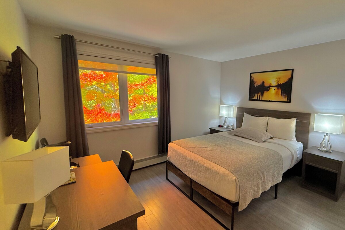 Ett hotellrum med en säng, sängbord, ett skrivbord, en stol, en tv och ett fönster med höstlöv utanför.