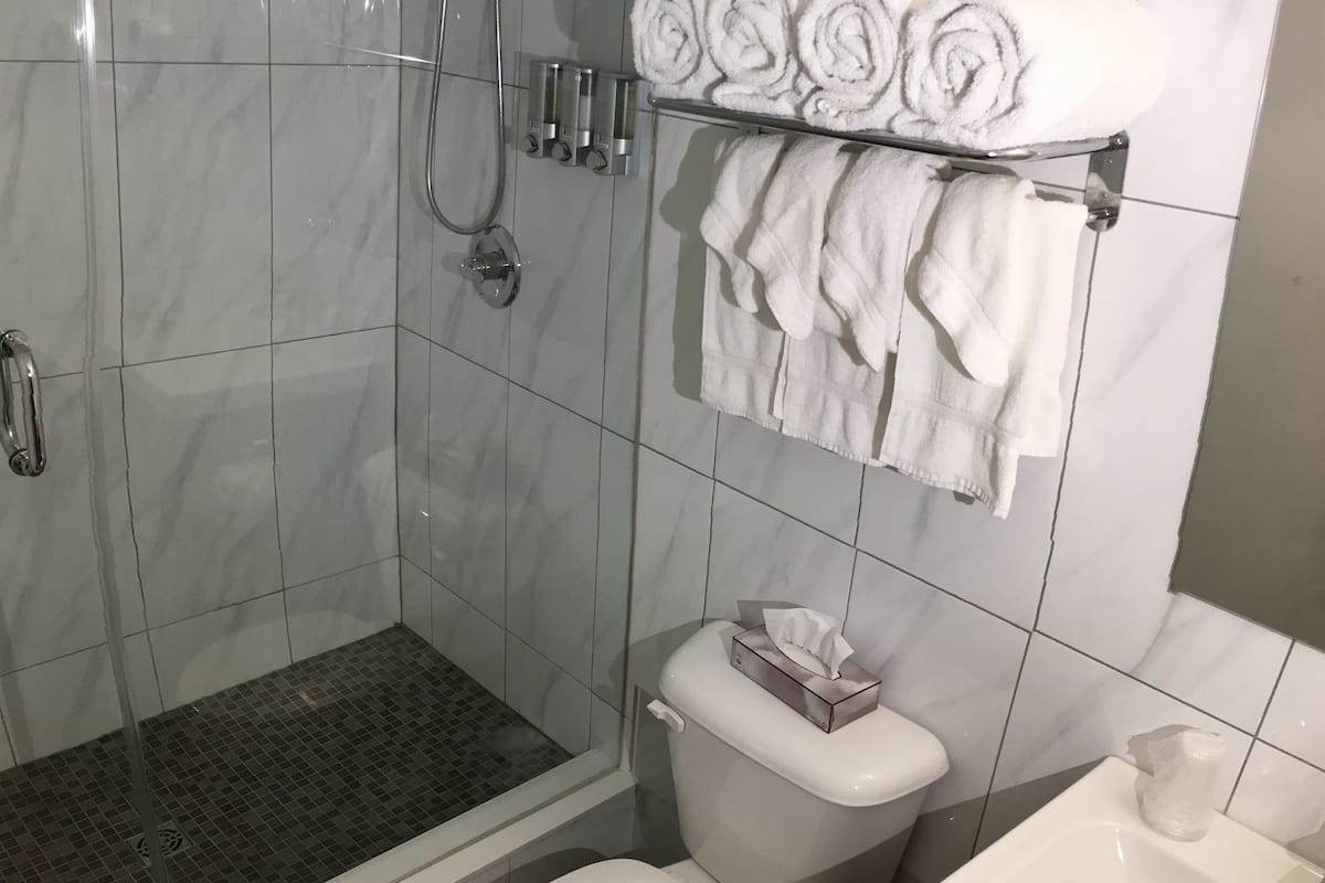 shower, free toiletries, hair dryer, towels