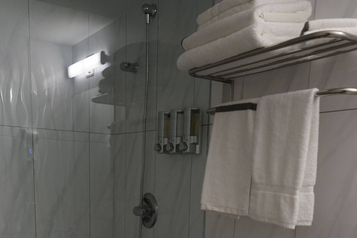 room, 1 queen bed, non smoking | bathroom | shower, free toiletries, hair dryer, towels