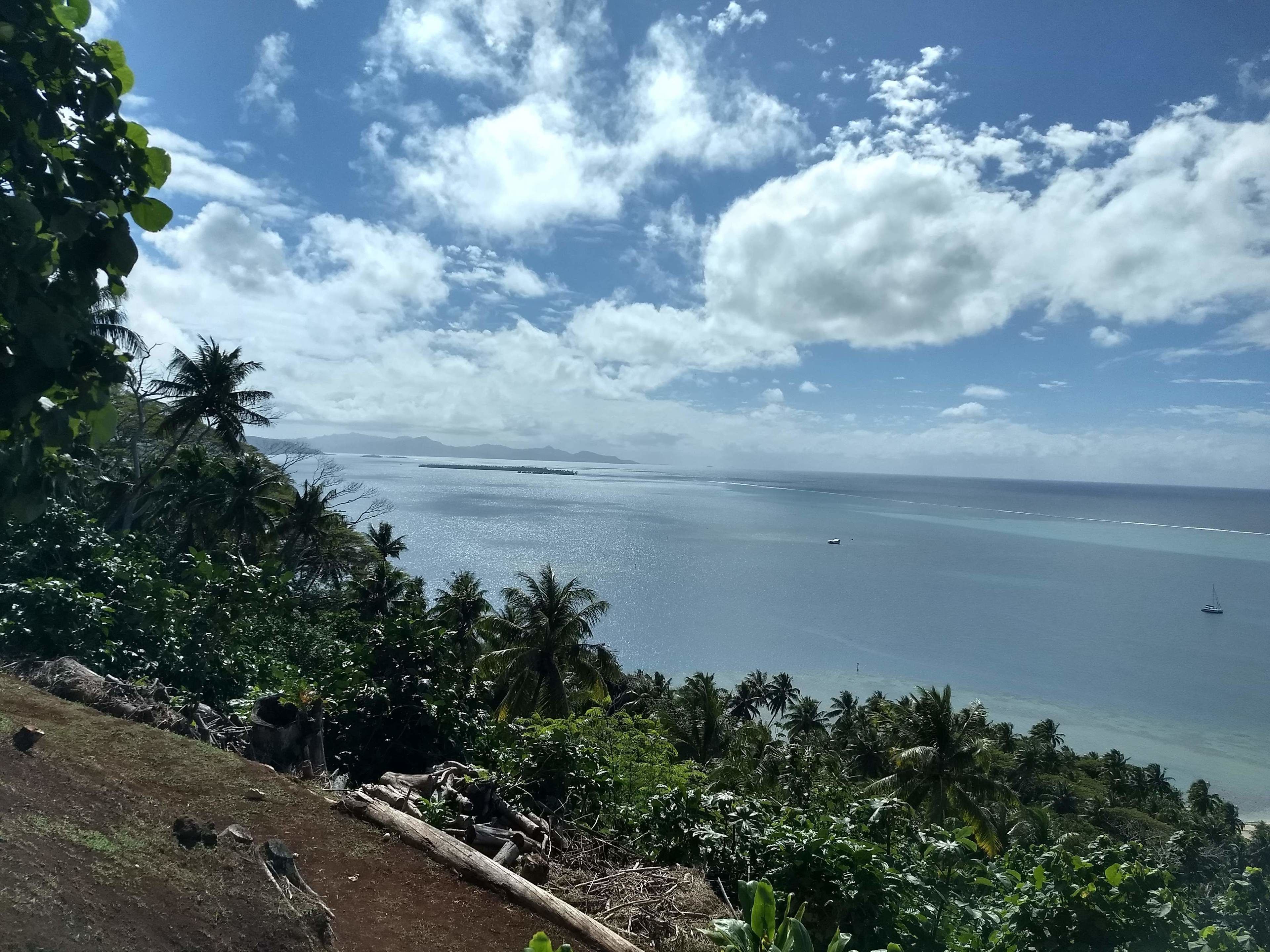 A coastal landscape with dense tropical vegetation and a view of the sea.