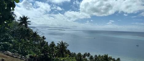 A coastal landscape with dense tropical vegetation and a view of the sea.