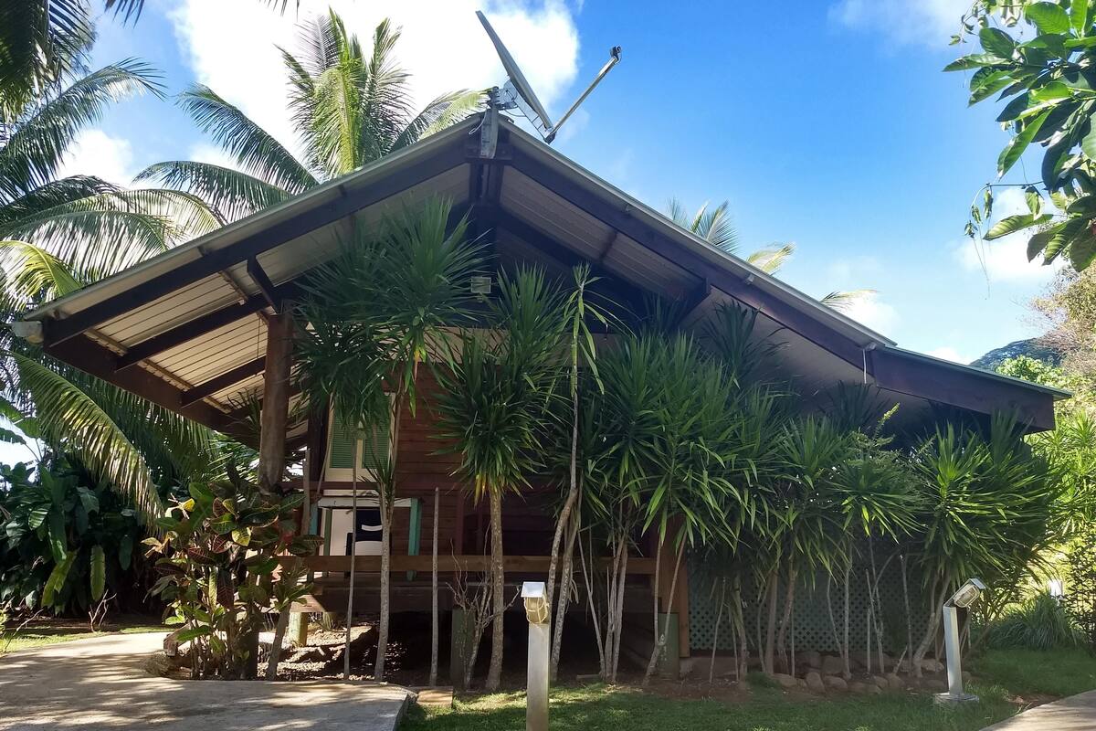 A wooden building with a sloped roof, surrounded by lush tropical vegetation, including palm trees and other greenery.
