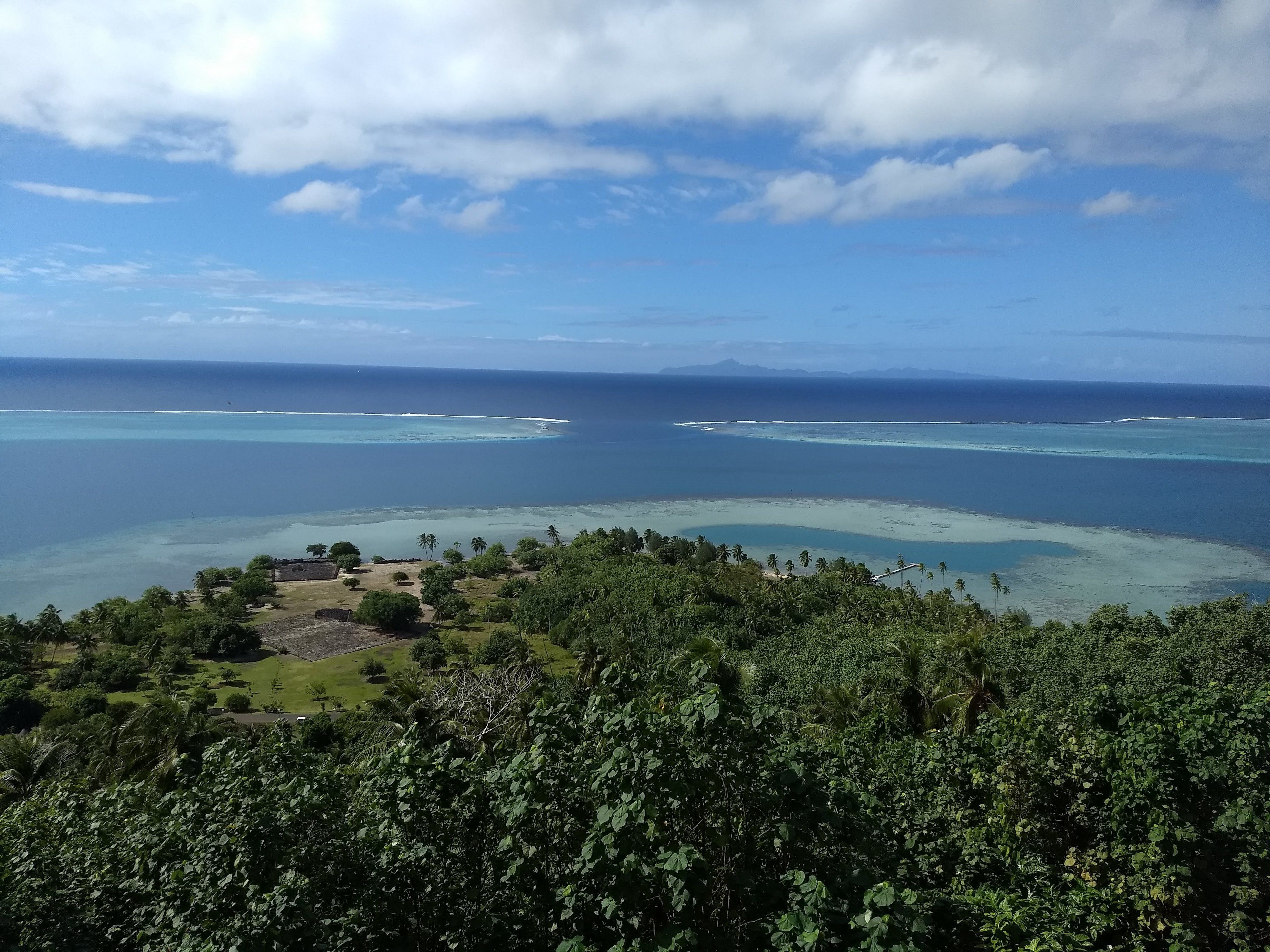 A coastal landscape with a view of the ocean and a small settlement surrounded by lush greenery.