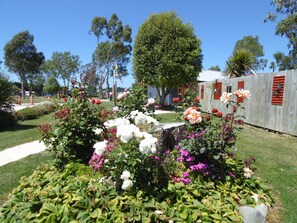 A garden with various flowers and a wooden fence. - Glenavys Waitaki River Motor Camp - Caravan Park (Glenavy)