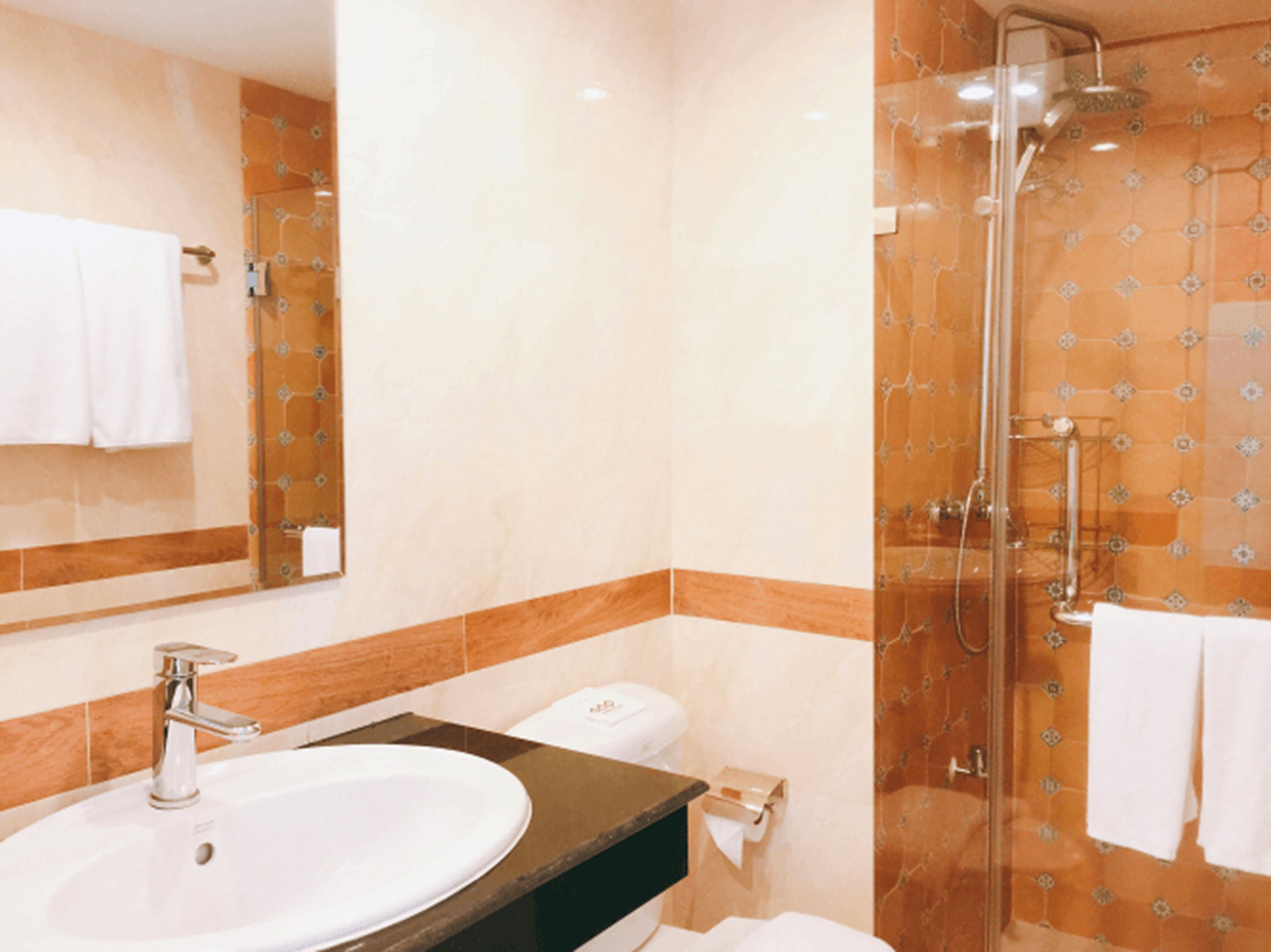 shower, rainfall showerhead, free toiletries, hair dryer