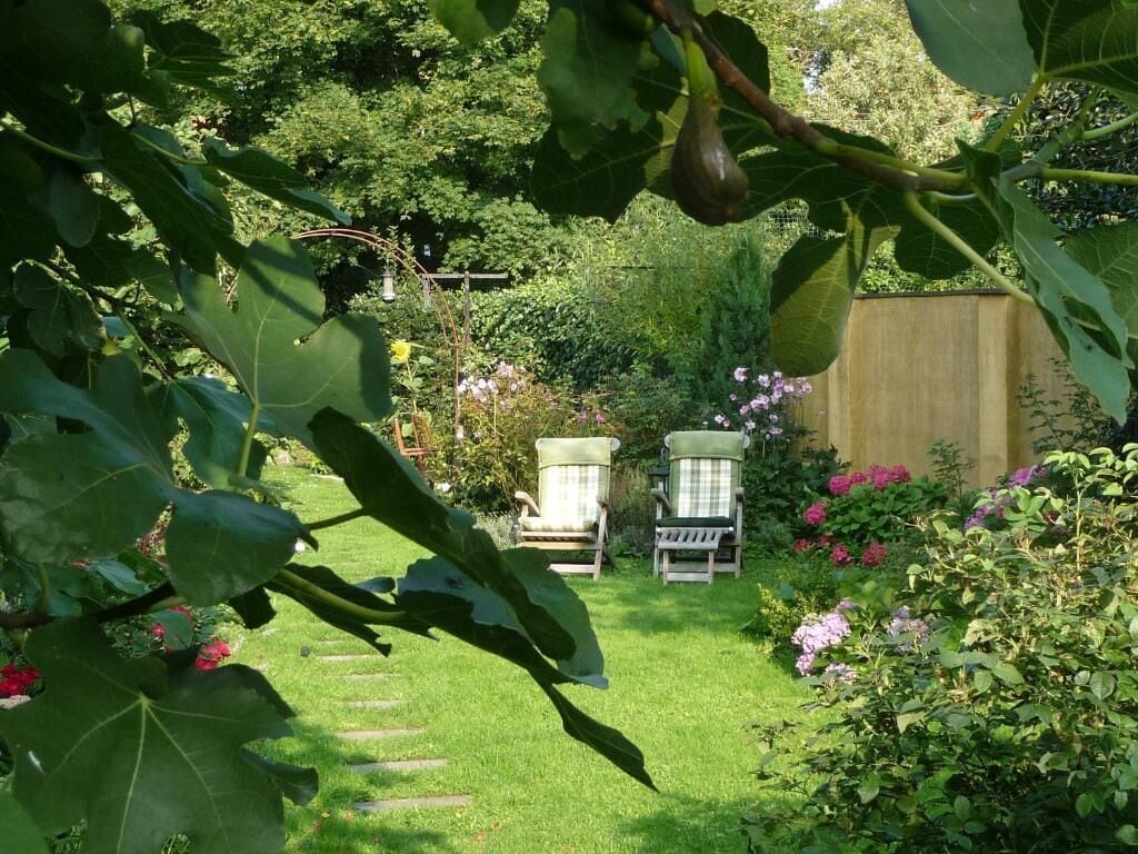 Khuôn viên nơi lưu trú