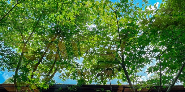 Courtyard - Kappo Ryokan Yumesaki (Beppu)