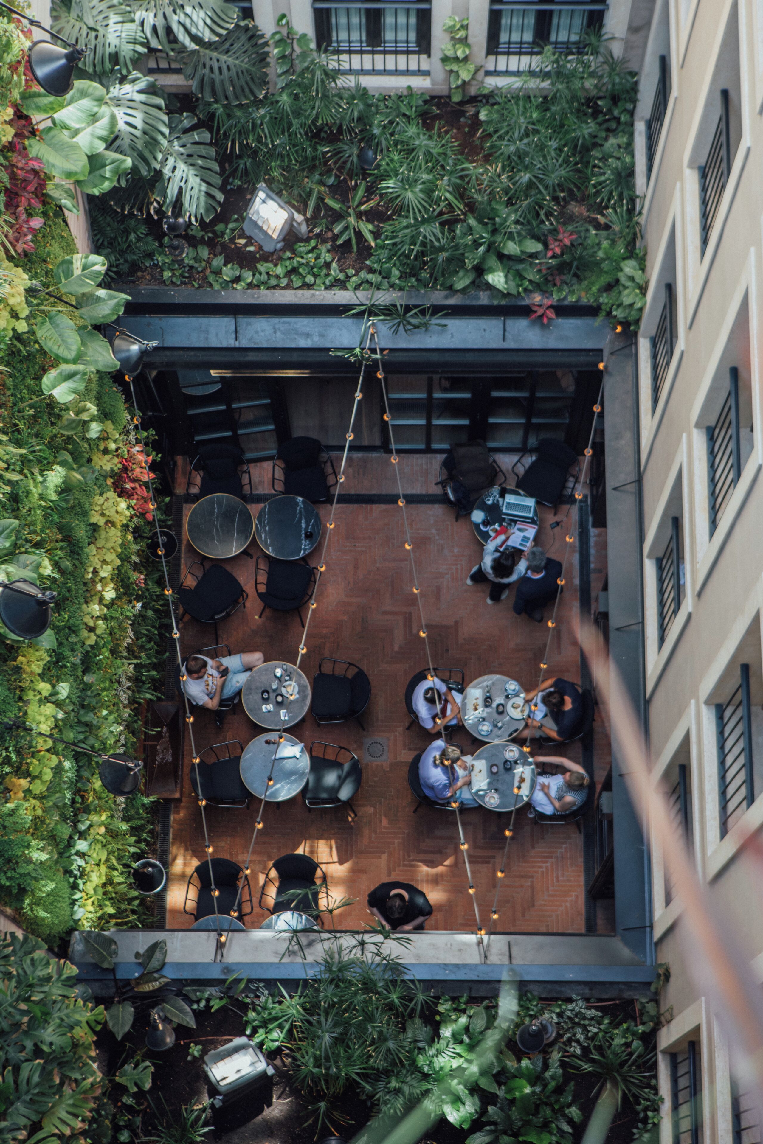 An outdoor patio with tables and chairs, surrounded by lush greenery and plants.