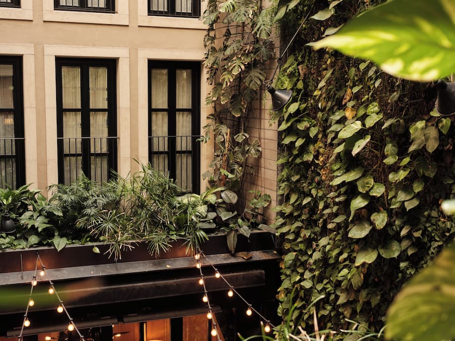 Un edificio con varias ventanas, un balcón con plantas y luces colgantes.