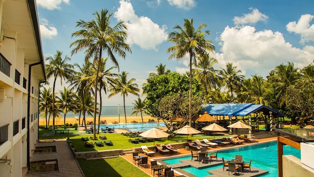A resort pool area with lounge chairs, umbrellas, and palm trees. - Camelot Beach Hotel (Negombo)