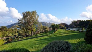 Un paisaje verde y exuberante con cielo despejado, un árbol grande y un edificio con tejado de tejas.