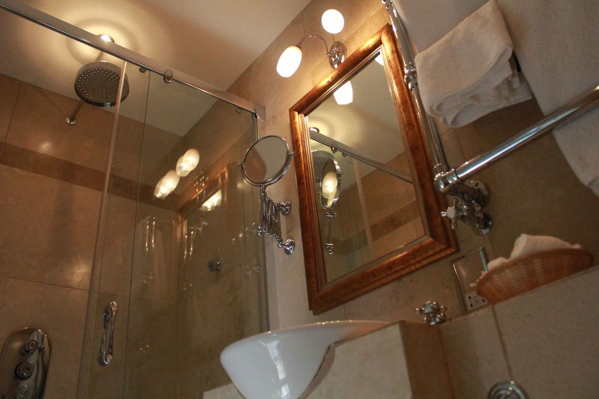 room, 1 double bed (small with shower) | bathroom shower